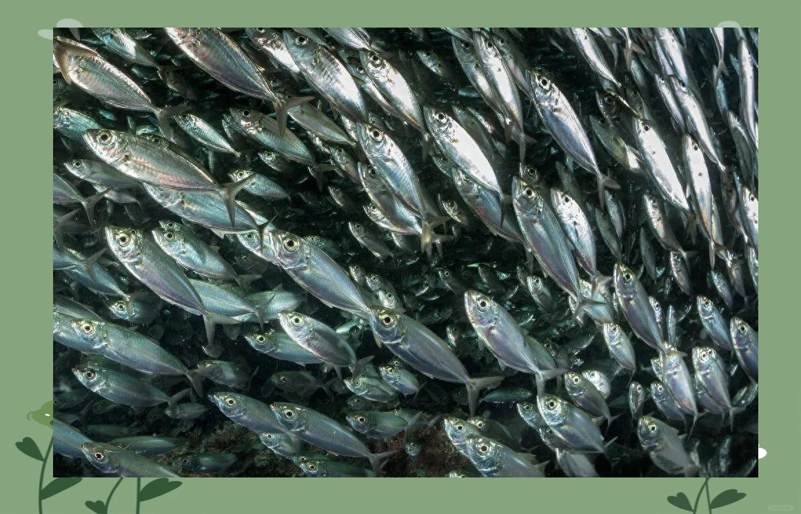 ?i??G視Q臞"??"虻菛L睡O.8y驿鰛?蔼H覝椃G謝&amp;鈵#?的简单介绍-爱游戏中国